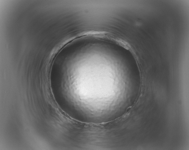 X0000081320337200701181934