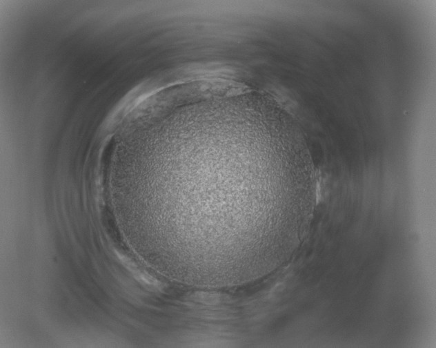 X0000081320339200701181934