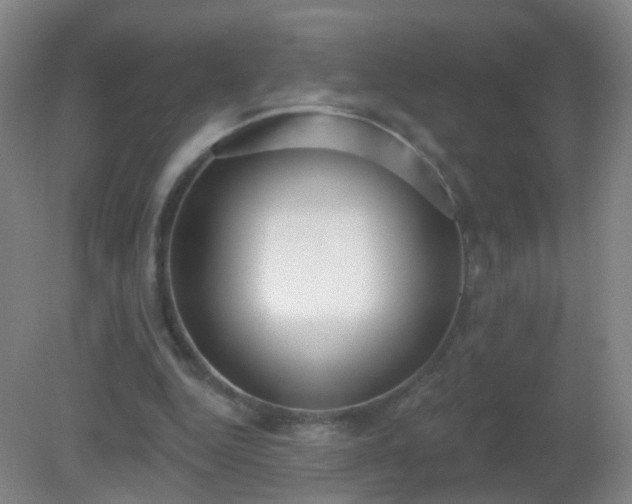 X0000081320344200701181934