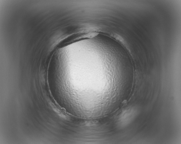 X0000081320345200701181934