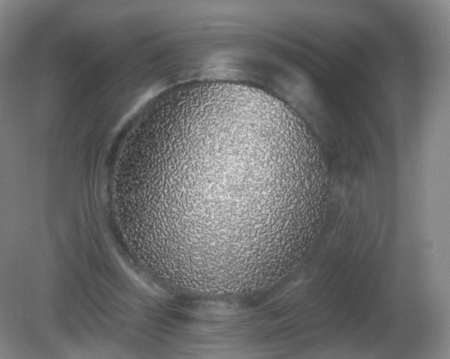 X0000081320347200701181934