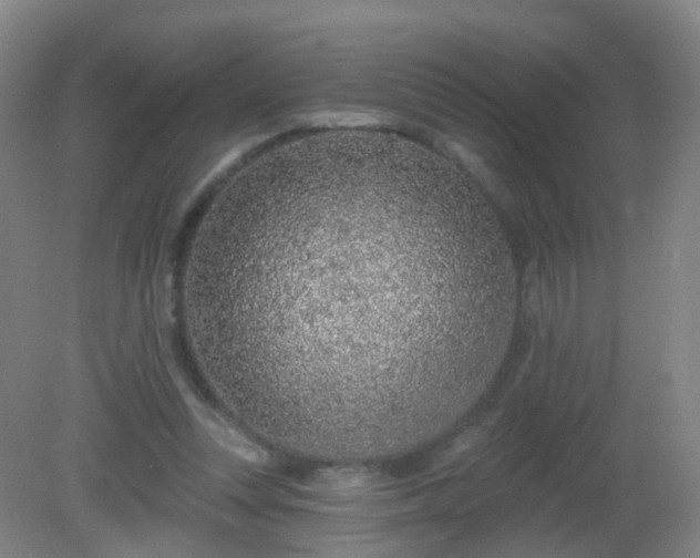 X0000081320351200701181934
