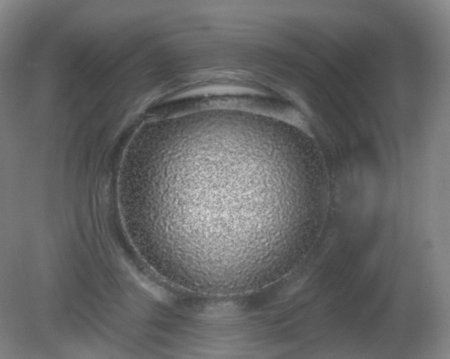 X0000081320357200701181934