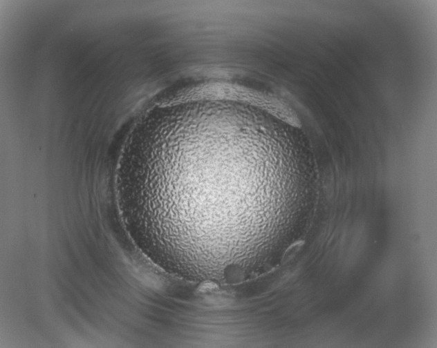 X0000081320359200701181934