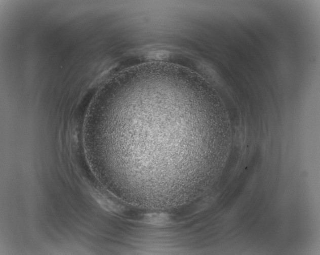 X0000081320363200701181934