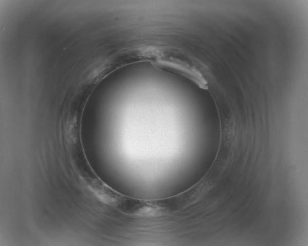 X0000081320364200701181934