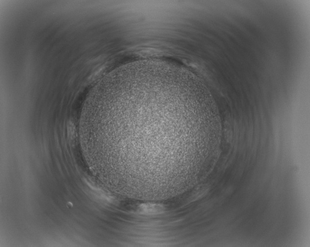 X0000081320371200701181934