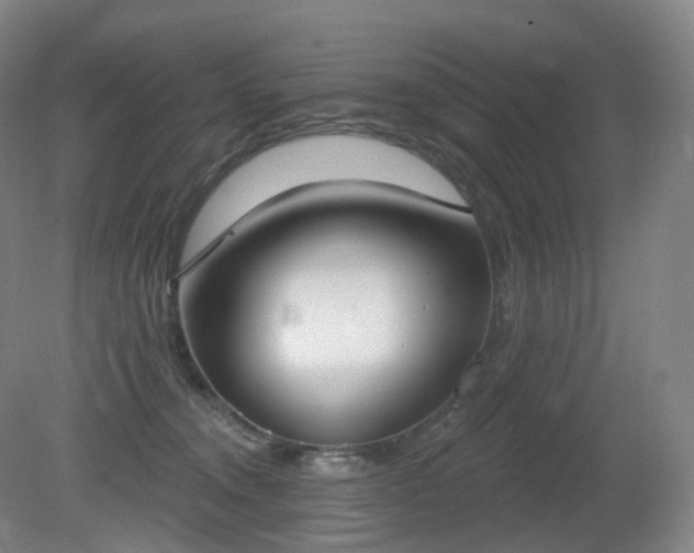 X0000081320372200701181934