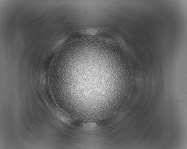 X0000081320374200701181934