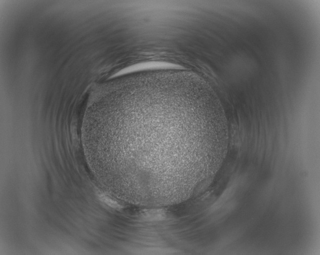 X0000081320377200701181934