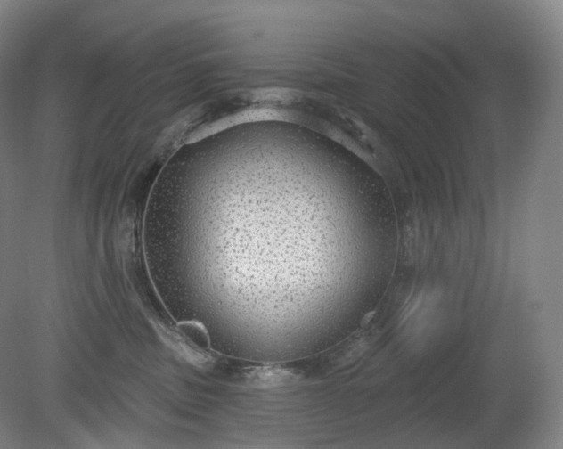 X0000081320379200701181934