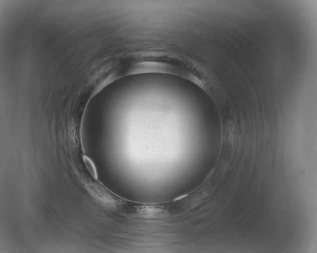 X0000081320380200701181935
