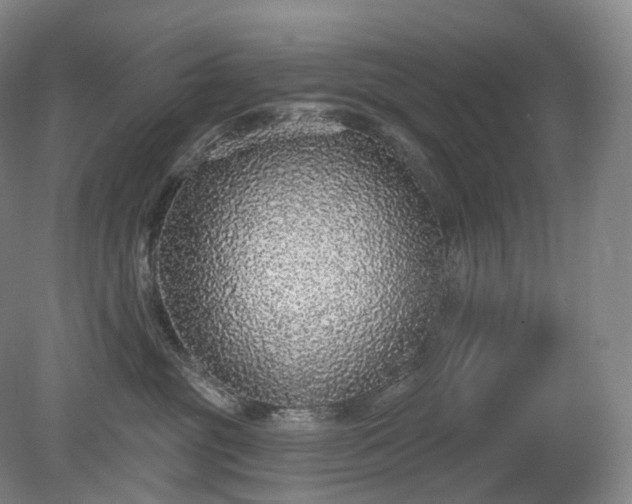 X0000081320381200701181935