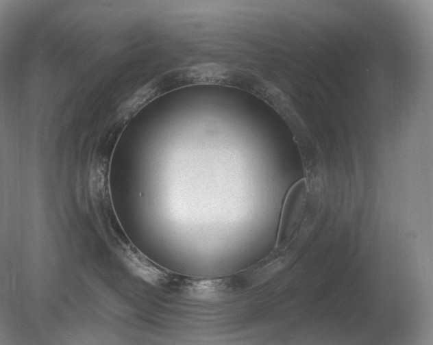 X0000081320382200701181935