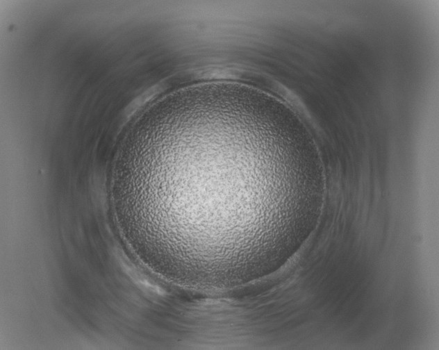 X0000081320386200701181934