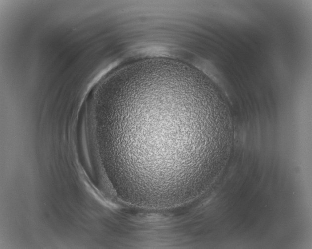 X0000081320390200701181934