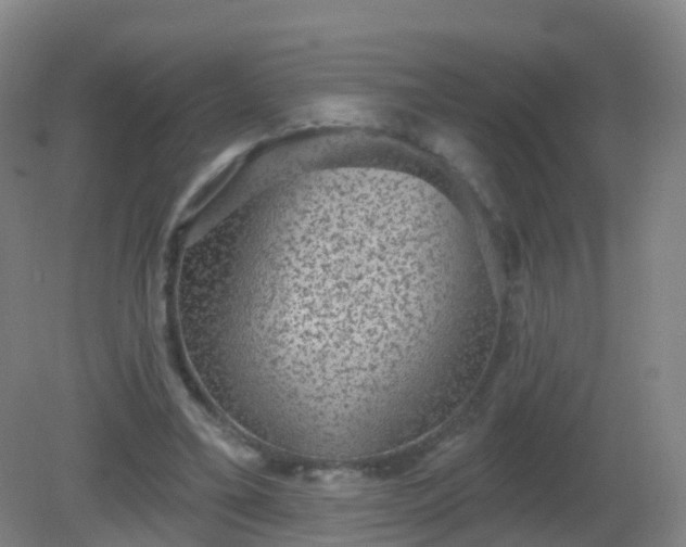 X0000081320395200701181934