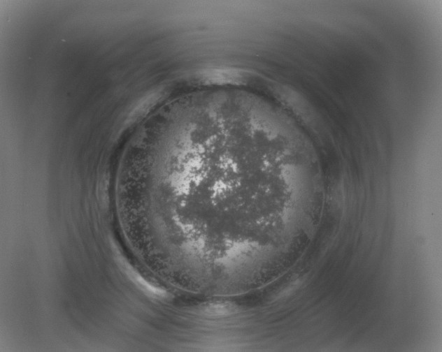 X0000081320402200701181933