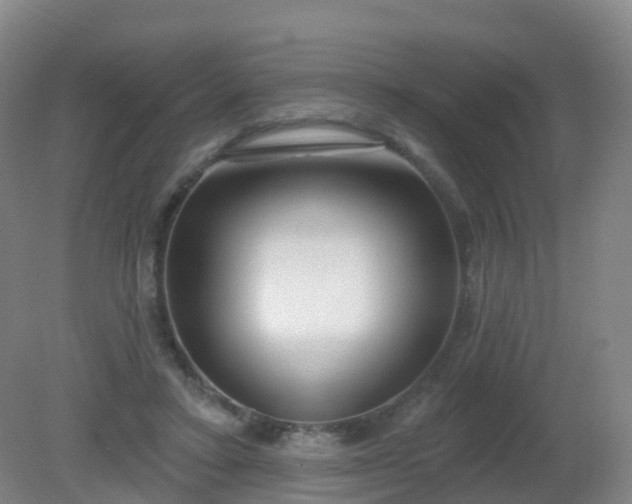 X0000081320403200701181933