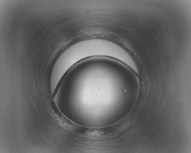 X0000081320407200701181933