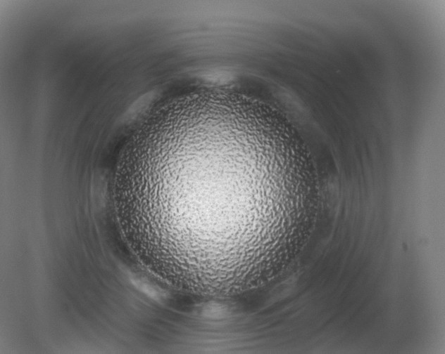 X0000081320412200701181933