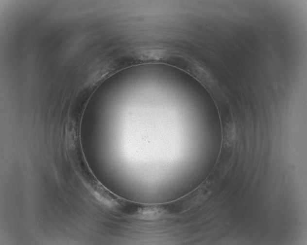 X0000081320414200701181933