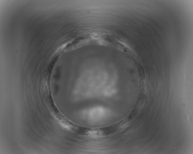 X0000081320415200701181933