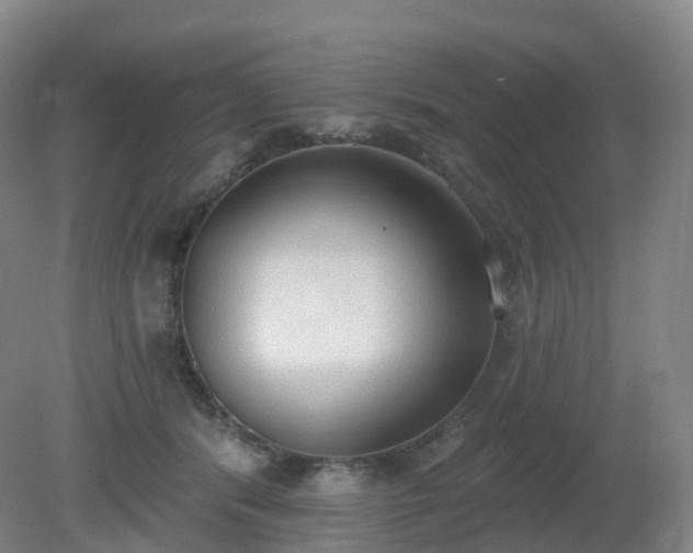 X0000081320416200701181933