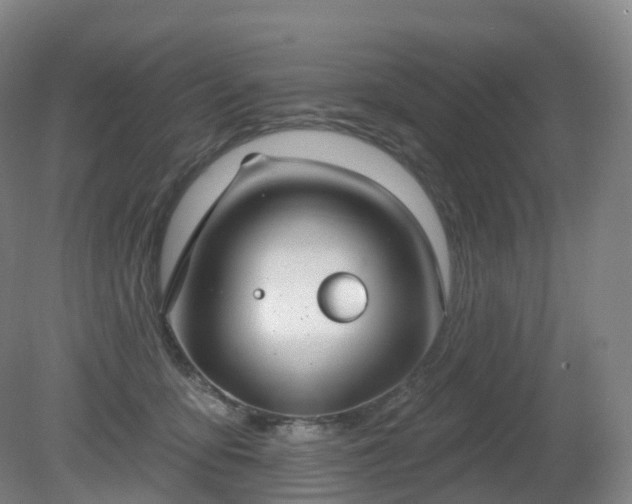 X0000081320419200701181933