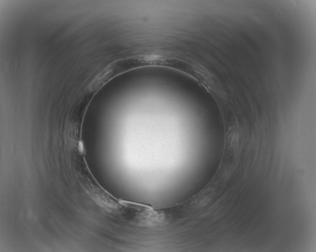 X0000081320421200701181933