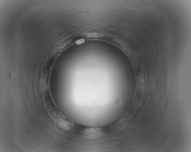 X0000081320422200701181933