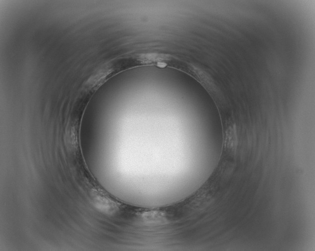 X0000081320426200701181933