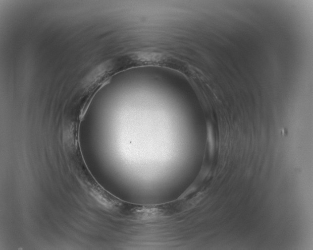 X0000081320428200701181933
