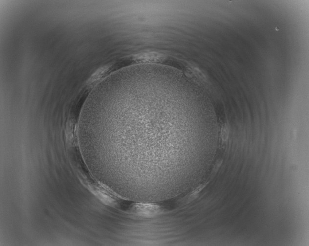 X0000081320429200701181933