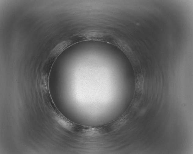 X0000081320430200701181933