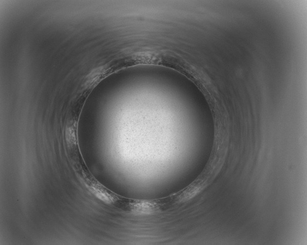 X0000081320432200701181933