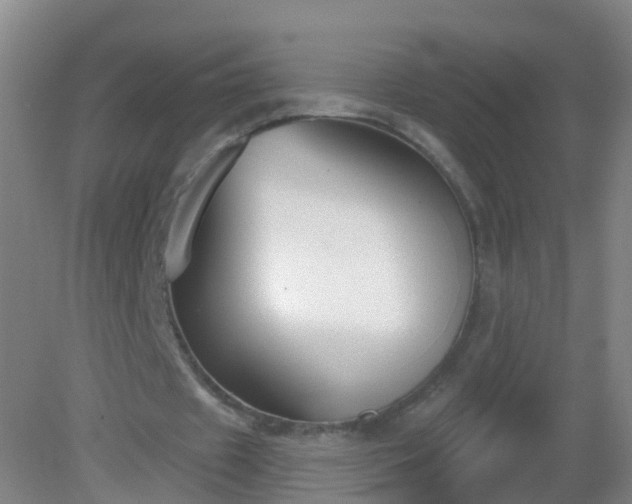 X0000081320433200701181932