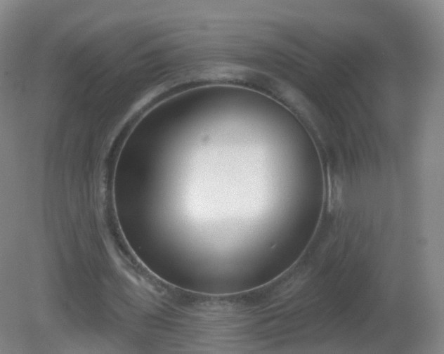 X0000081320435200701181932
