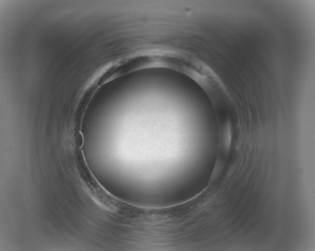 X0000081320436200701181932