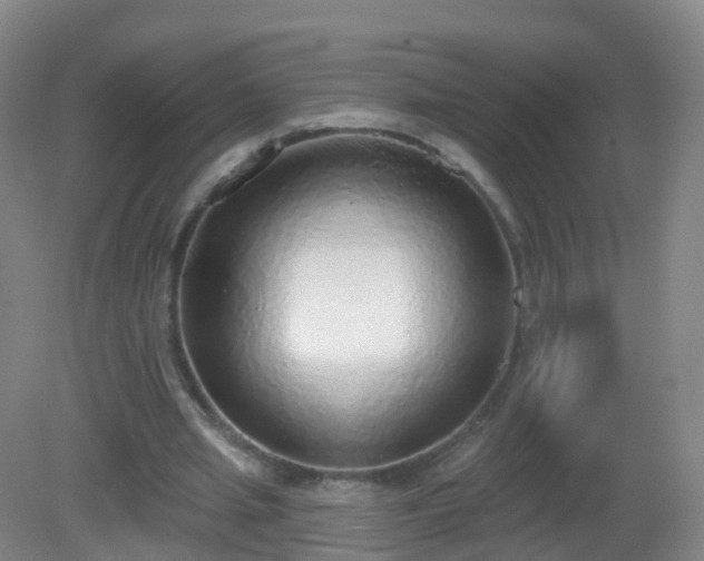X0000081320437200701181932