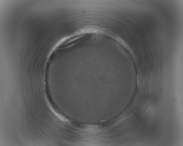 X0000081320438200701181932