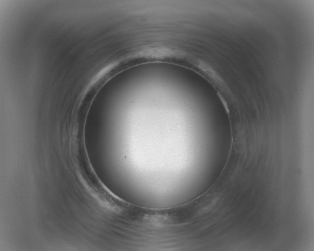 X0000081320440200701181932
