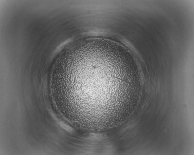 X0000081320442200701181932
