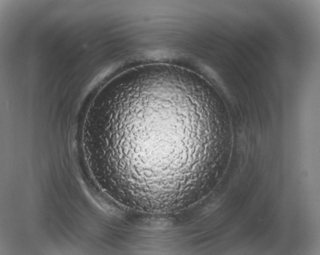 X0000081320443200701181932