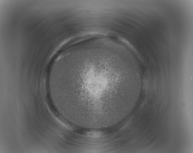X0000081320444200701181932
