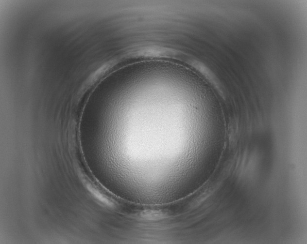 X0000081320445200701181932