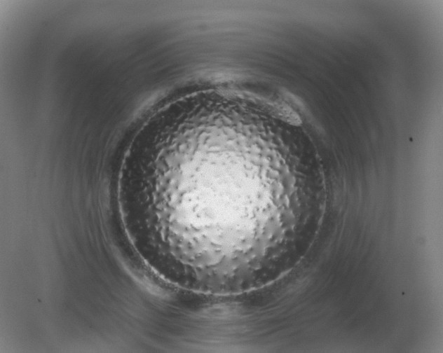 X0000081320447200701181932