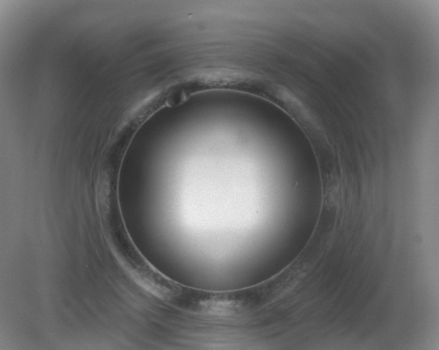 X0000081320448200701181932