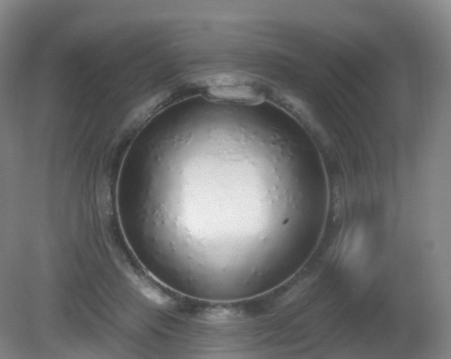 X0000081320453200701181932