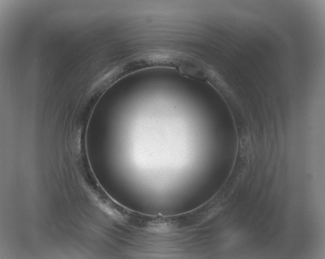 X0000081320454200701181932